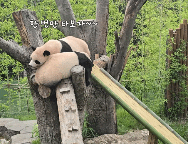 omrogj.gif