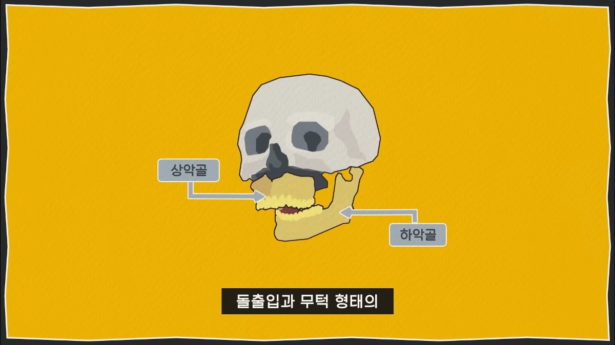omyksb