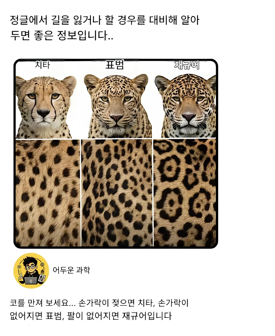 onbfbu