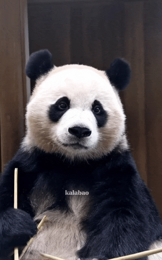 onbwJS.gif