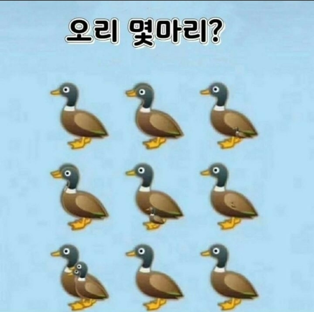 onohSD