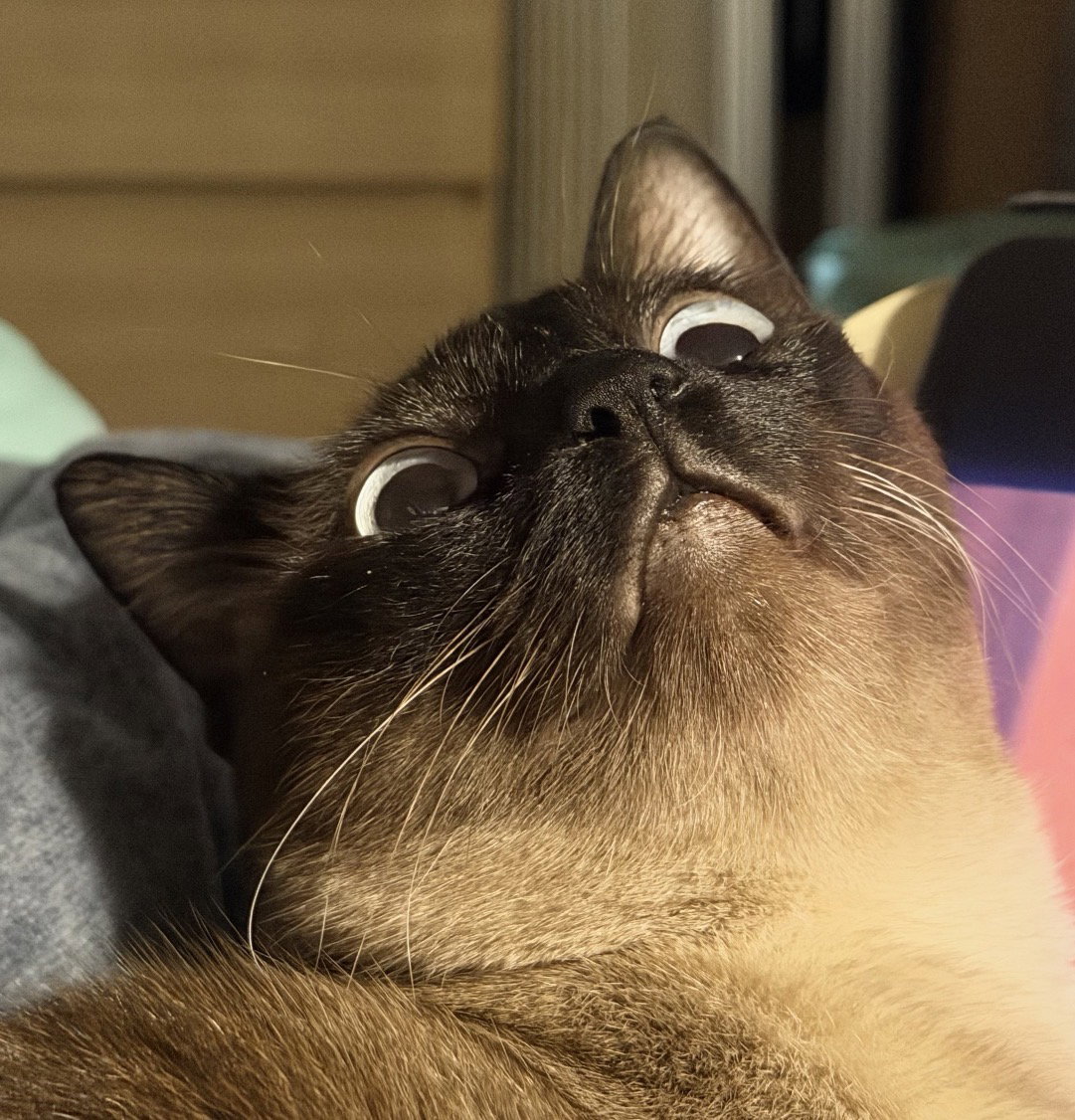 oodtUT