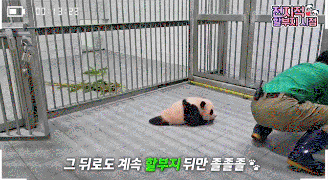 oogTlG.gif