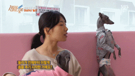 oryBgf.gif