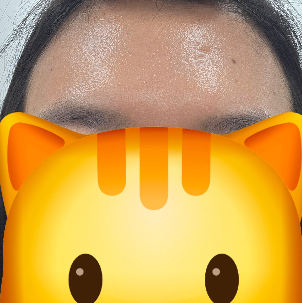 osCcxk