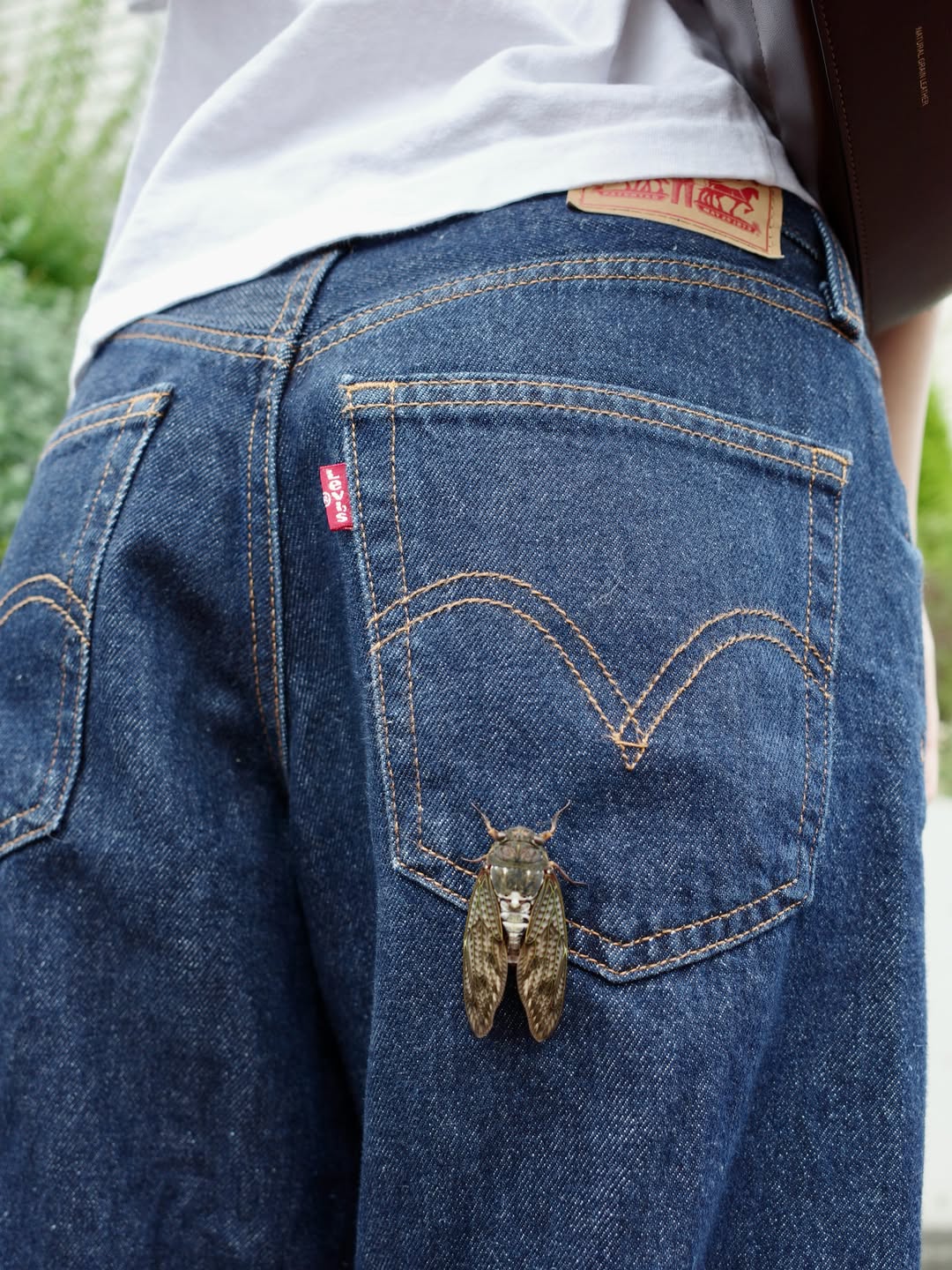 osdQJm