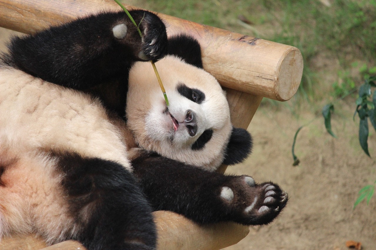 osqXJs