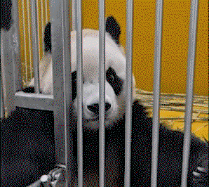 ottbkX.gif