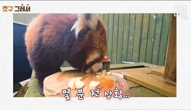 ouvZit.gif