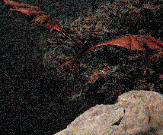 ovmkic.gif