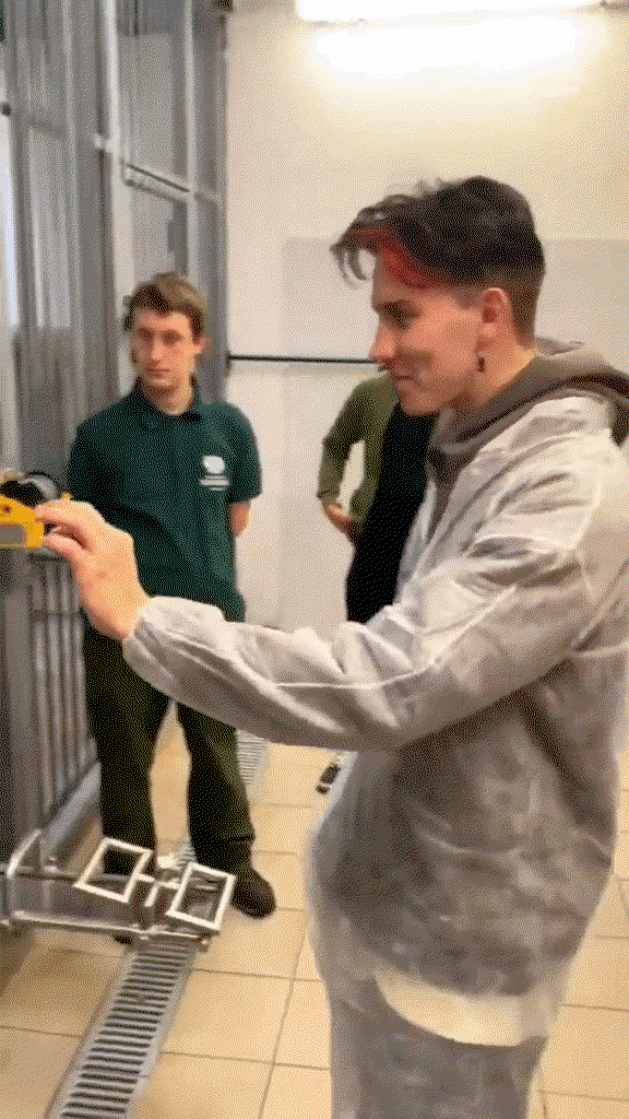 pAYxxg.gif