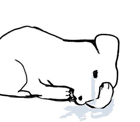 pCJeLB