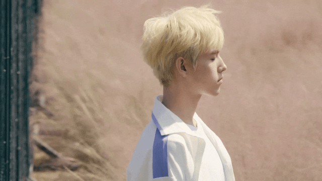 pDWhXf.gif