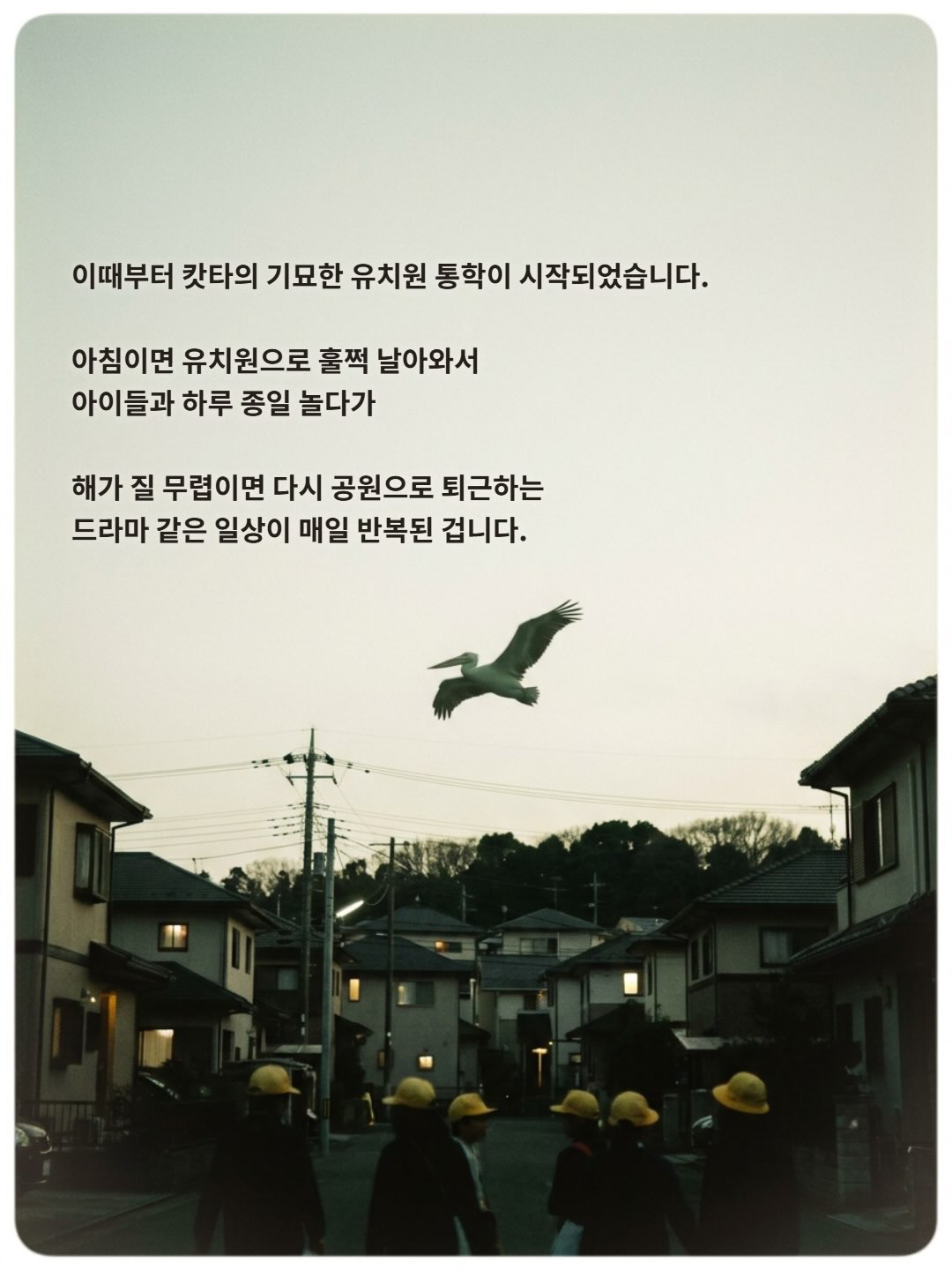 pEYkiK