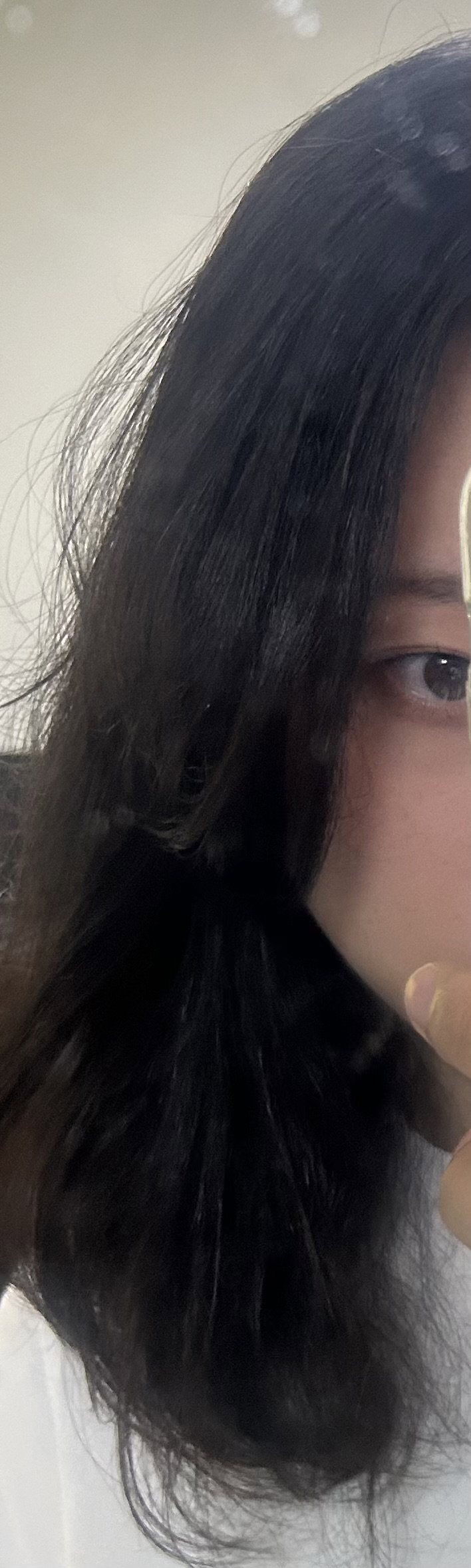 pFeebr