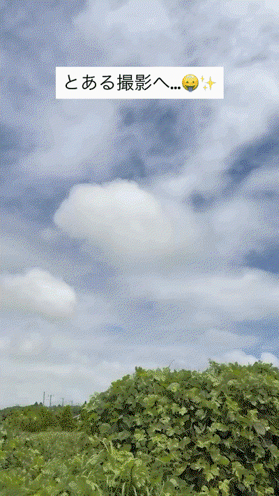 pFlBUK.gif