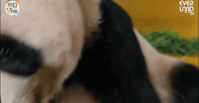 pFrouB.gif