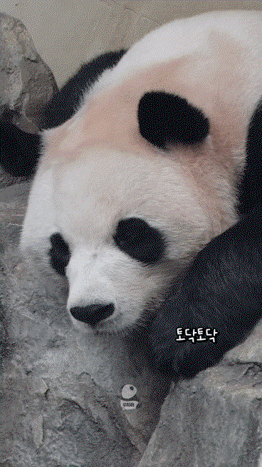 pGJacq.gif