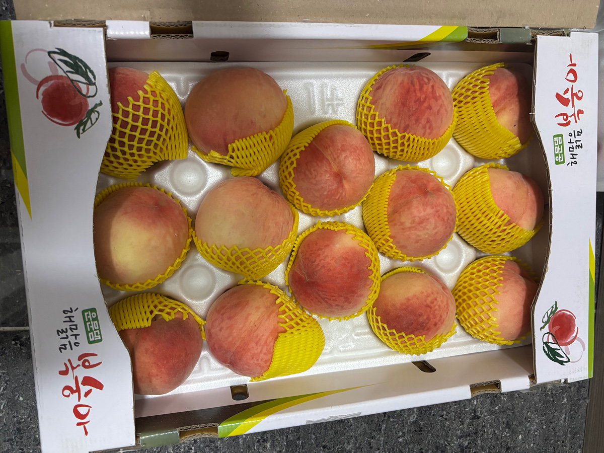 pGZveG