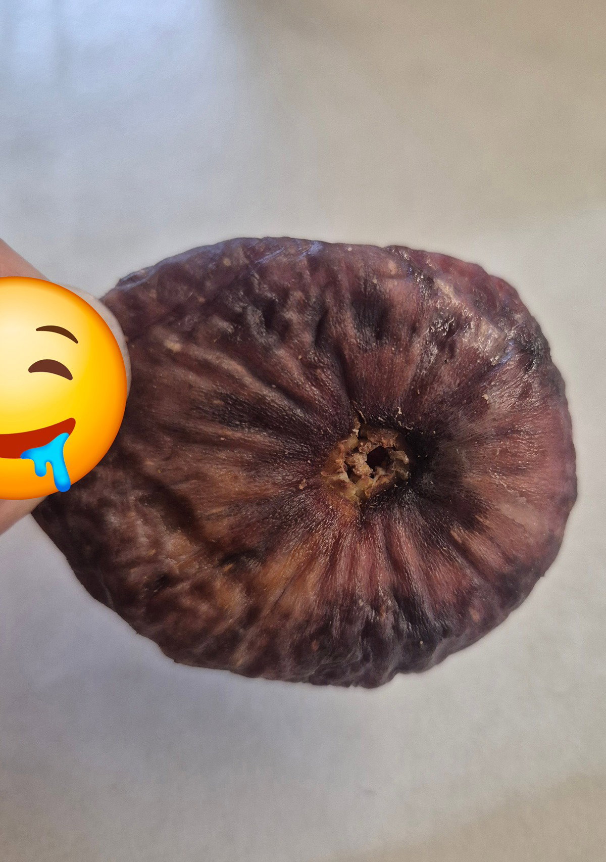 pJReQa