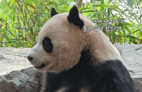 pJwqZl.gif