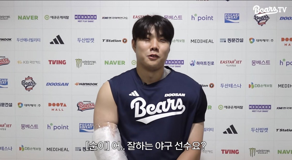 pMSDVe