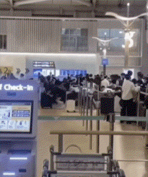 pMwRzz.gif