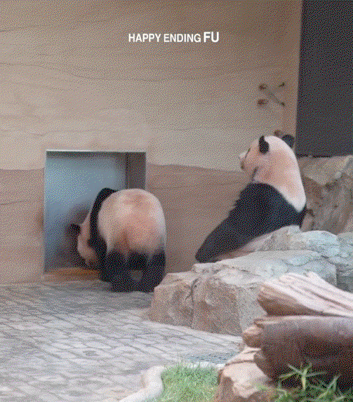 pOoiuR.gif