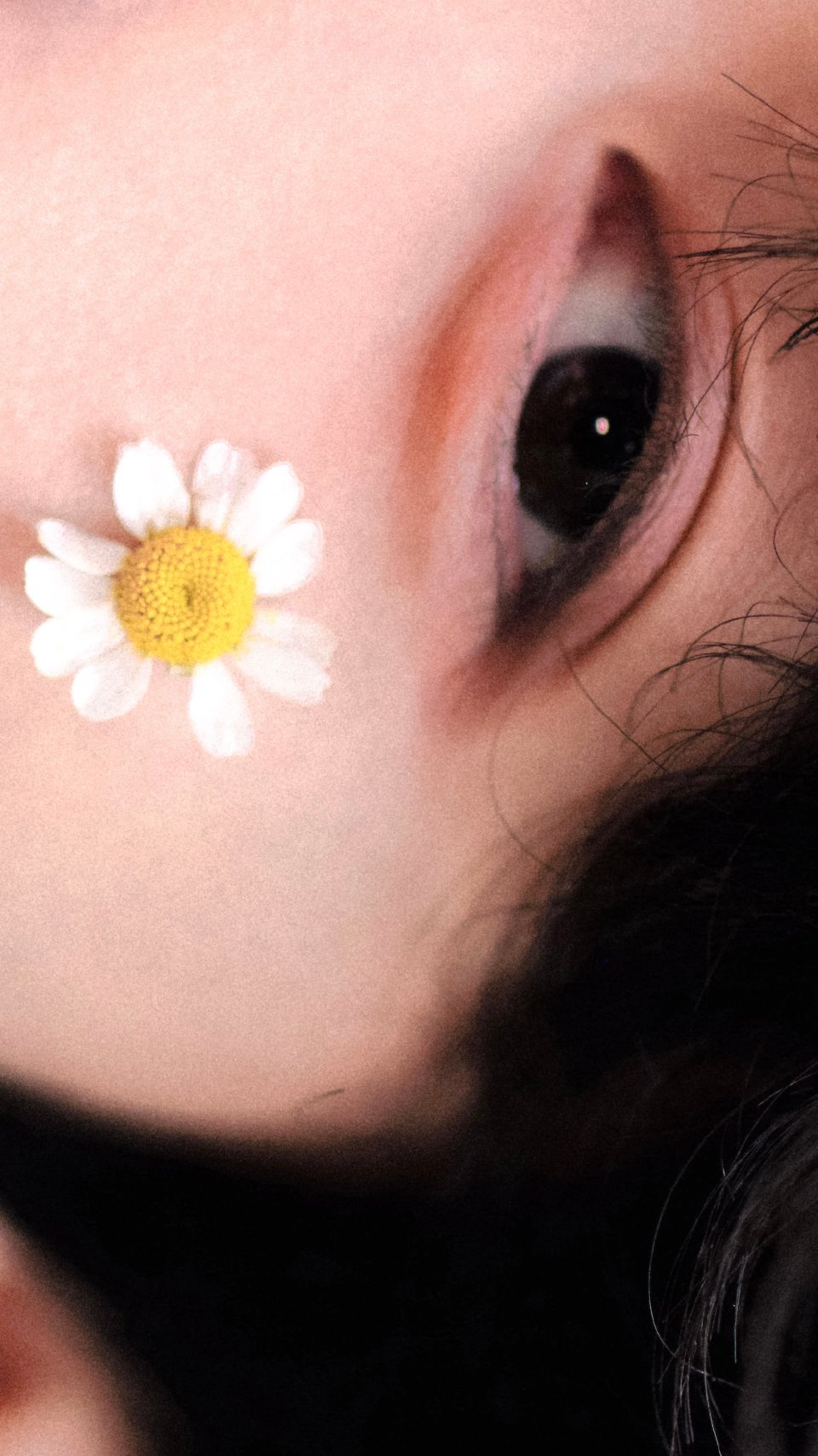 pPucEH