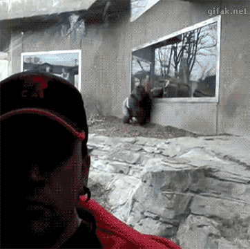 pSkrzd.gif