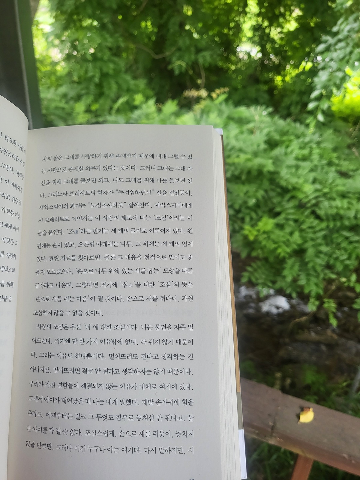 pTCsNT