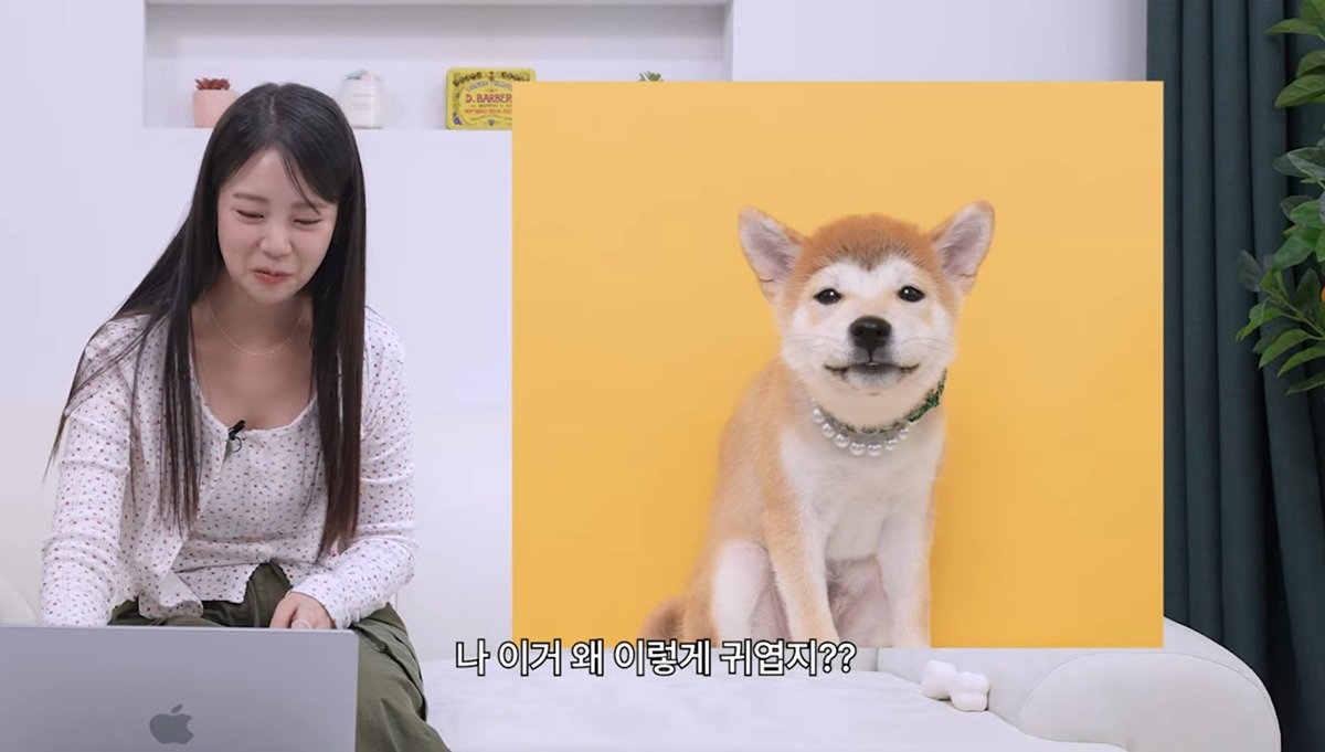 pTtBUn