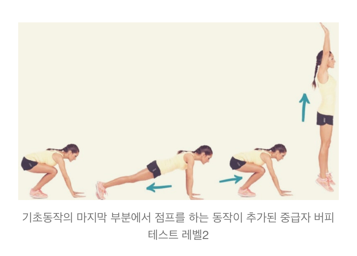 더쿠 - 버피 운동은 둘 중에 뭘 주로 해?, image size:1179x846