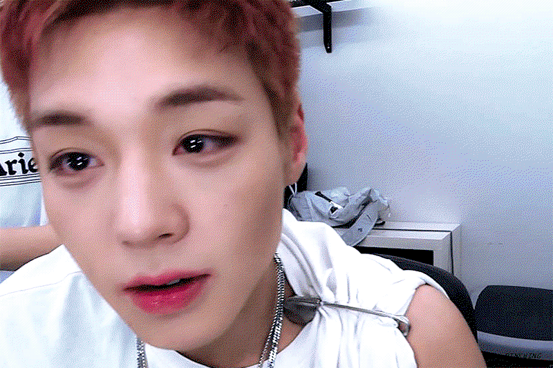 pbbckf.gif