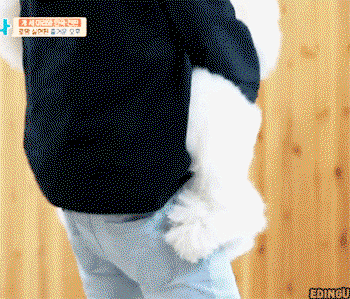 pbfArd.gif