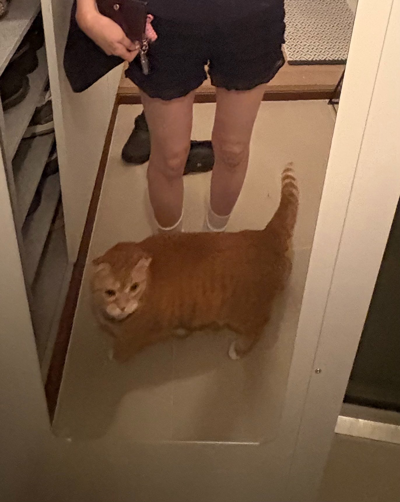 pddwwS