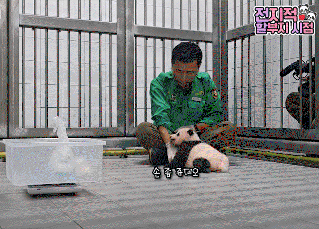 peVEUa.gif