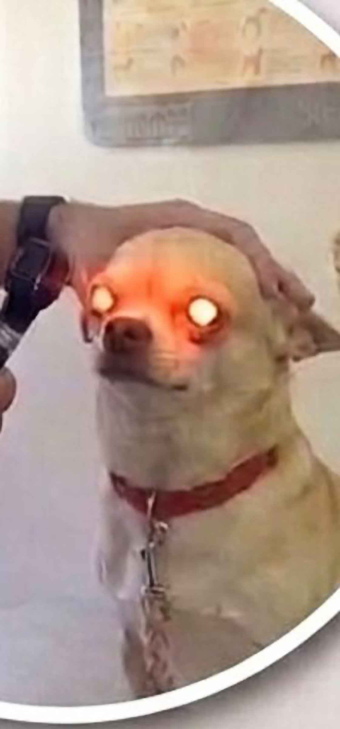 pfVsXu