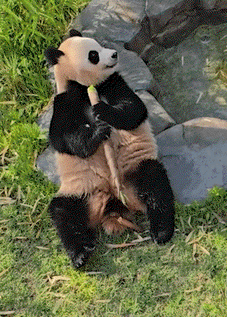 phHqEG.gif
