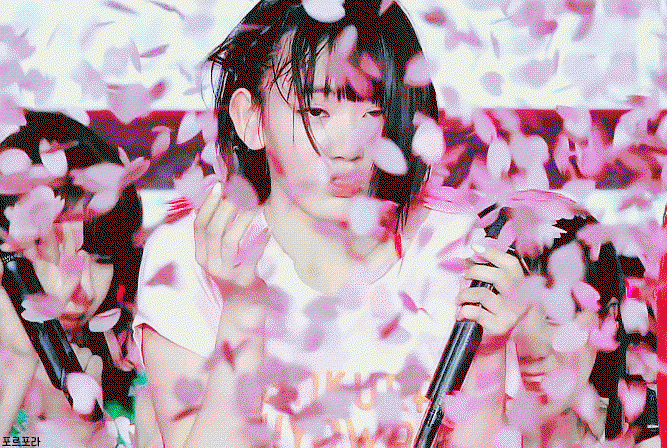 phaoZX.gif