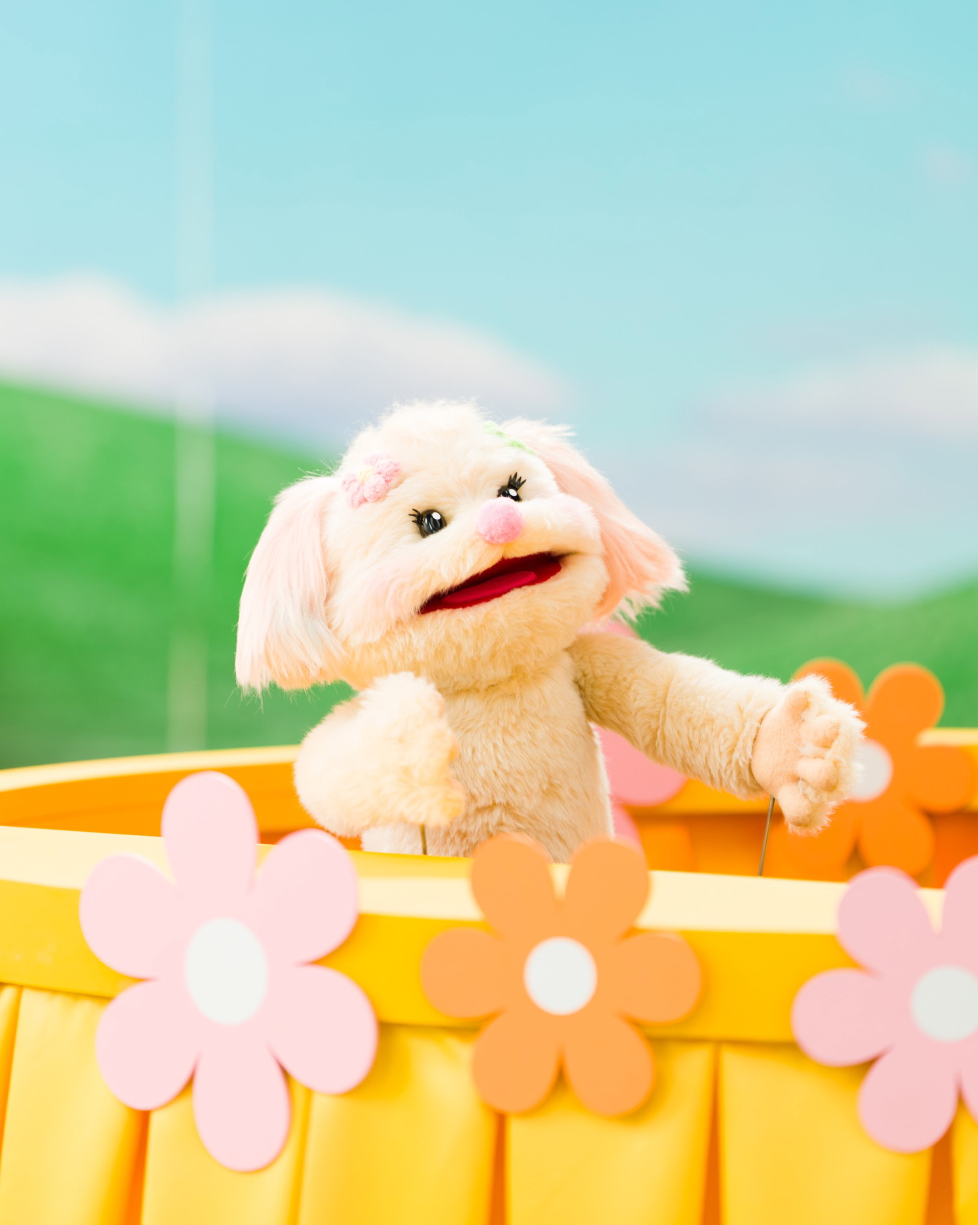 piGIen