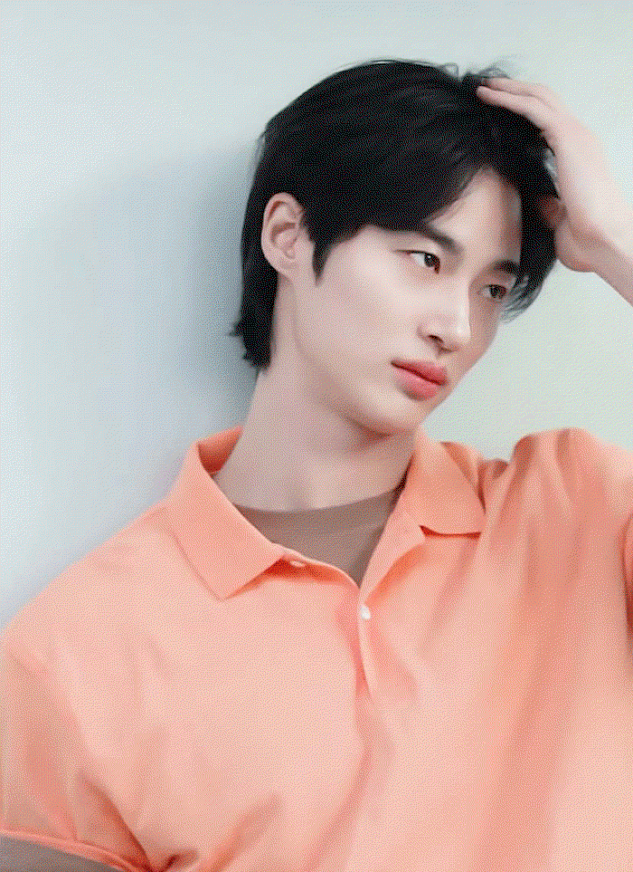 pihldx.gif