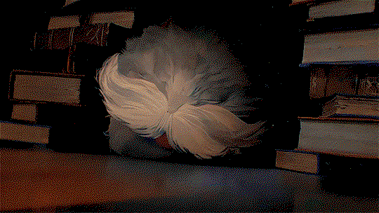 piqBgy.gif