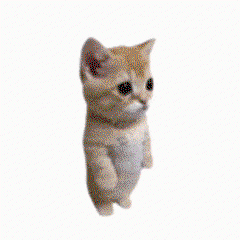pjWBZD.gif