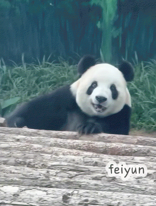 pjrPij.gif