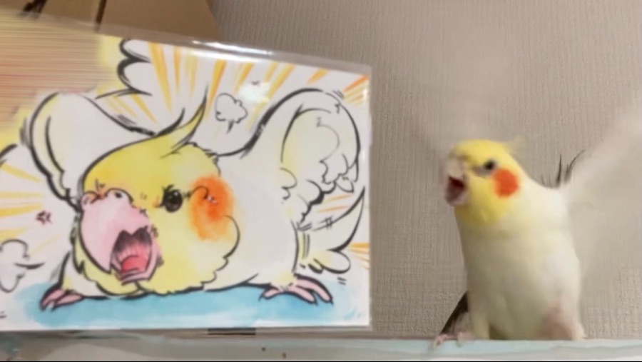 pobNHl