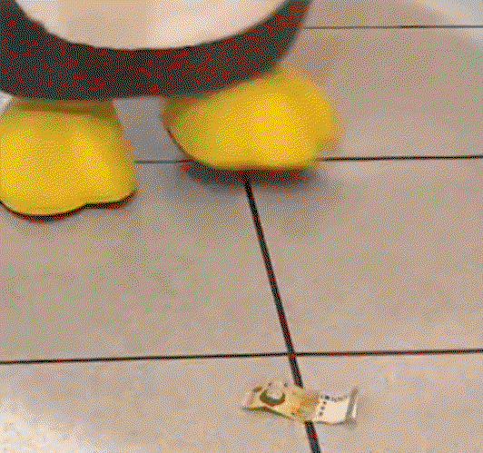 ppbYcG.gif