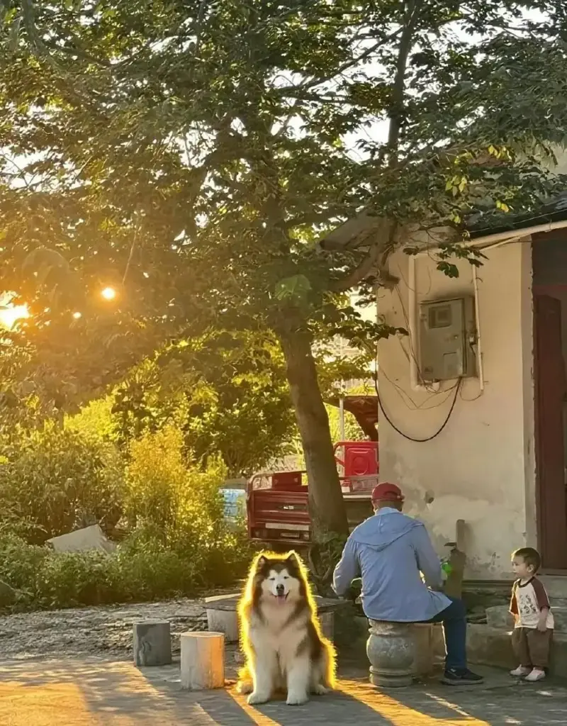 ppwbxR
