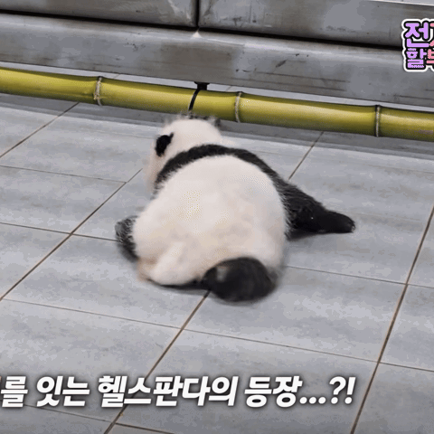 pqVOHp.gif