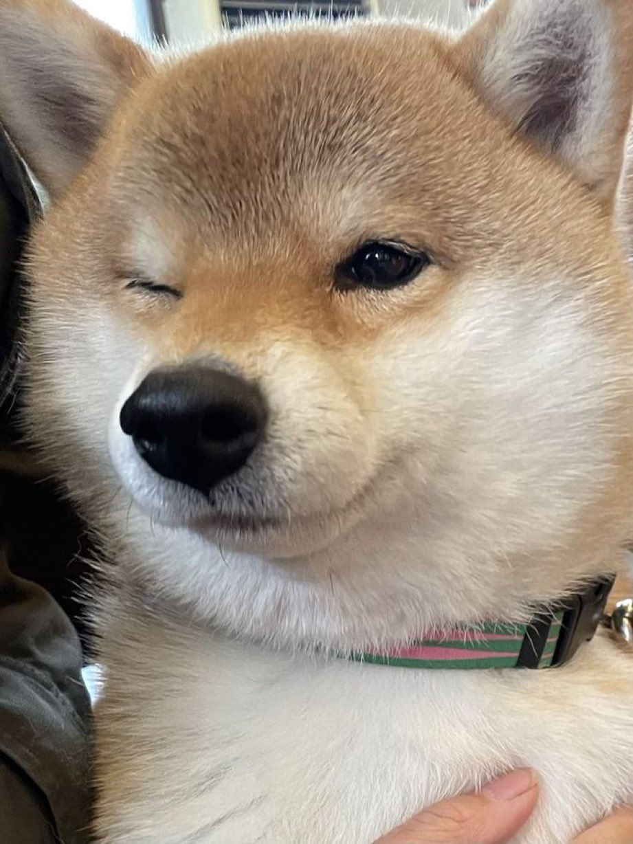 pqdodc